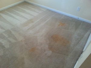 carpet before cleaning by Mr Steam