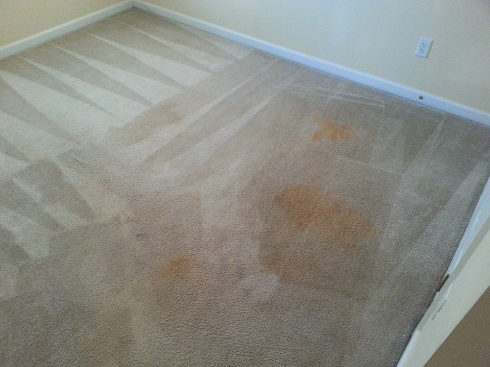 Van Mounted Carpet Steam Cleaning - Accel Cleaning