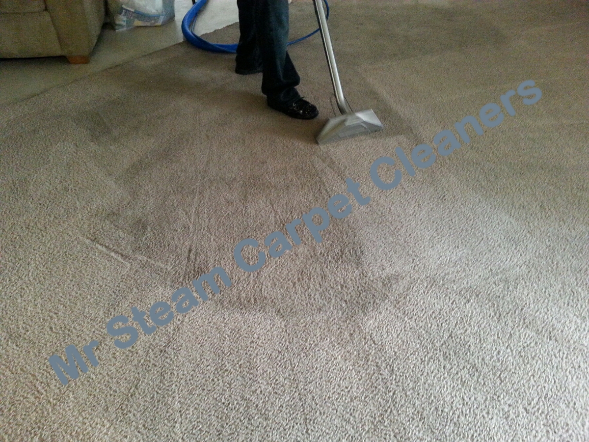 Carpet Cleaning Augusta GA December 2014 Mr. Steam Carpet Cleaners