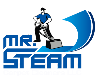Mr Steam Logo