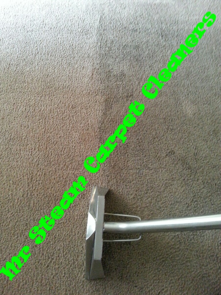 Mr Steam Carpet Cleaning Of Augusta GA Mr. Steam Carpet Cleaners