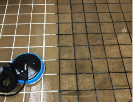 Mr. Steam Cleaning Tile and Grout